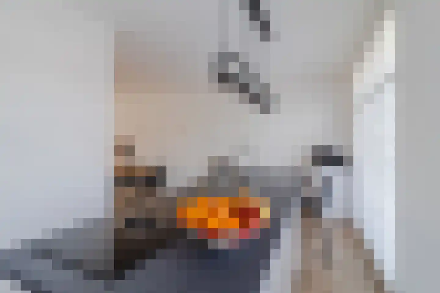 George Seferislaan 9 Den Haag thumbnail 19