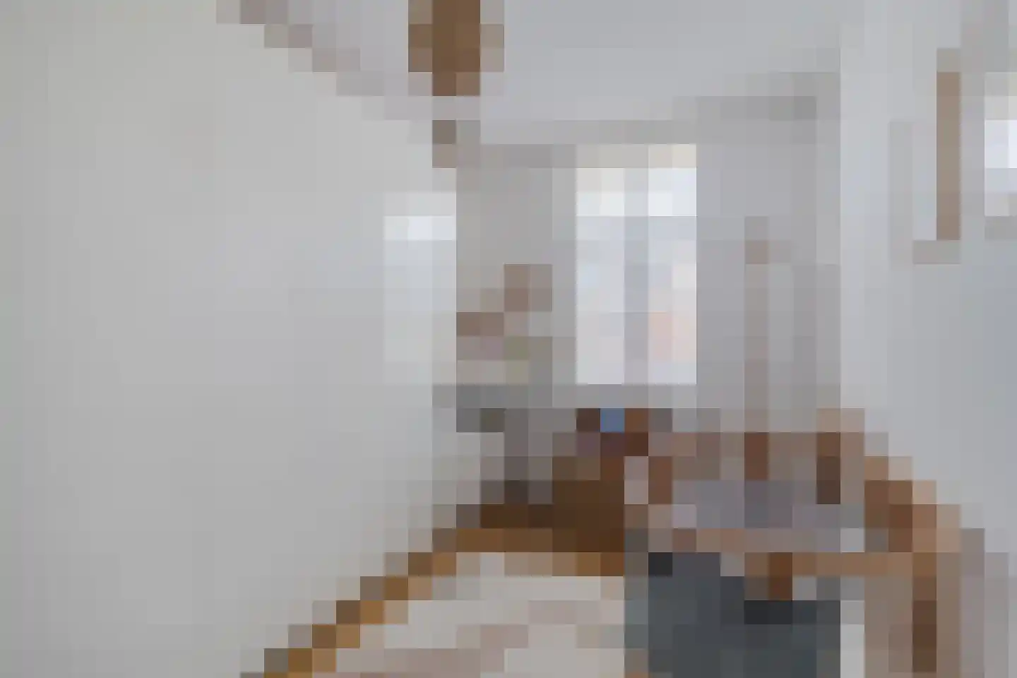George Seferislaan 9 Den Haag thumbnail 31