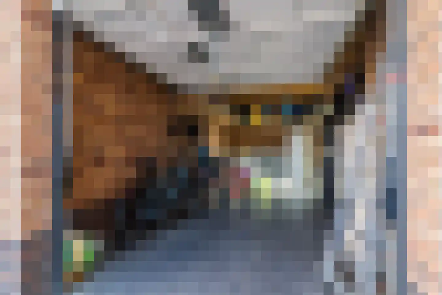 George Seferislaan 9 Den Haag thumbnail 59