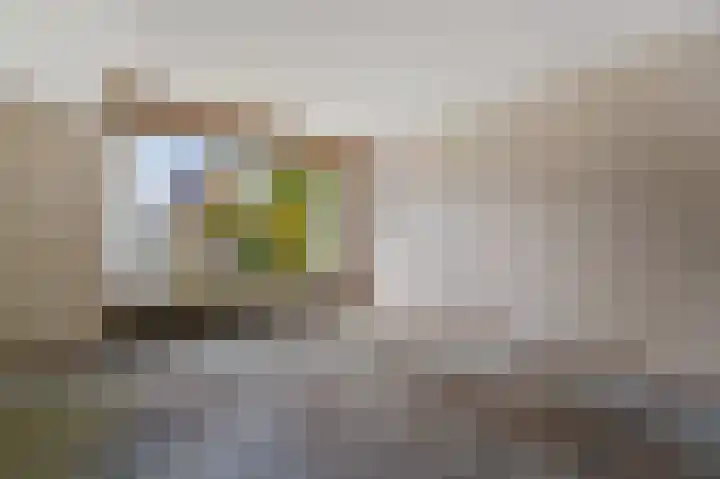George Washingtonlaan 15 Rijswijk thumbnail 10