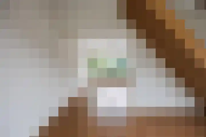 George Wilhelmlaan 24 Leek thumbnail 11