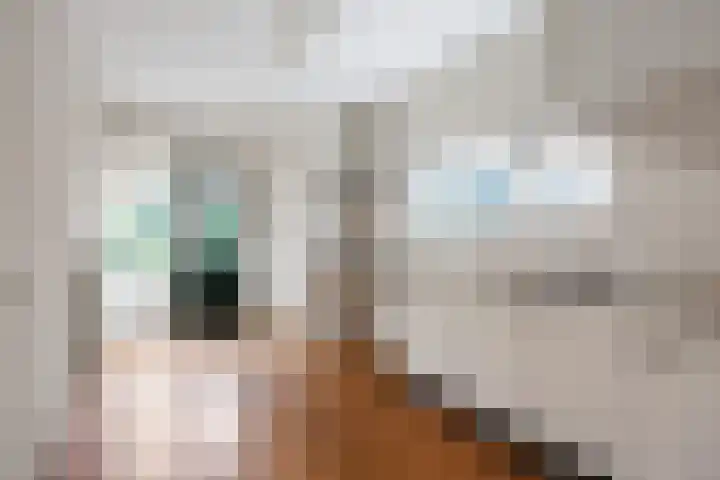 George Wilhelmlaan 24 Leek thumbnail 15