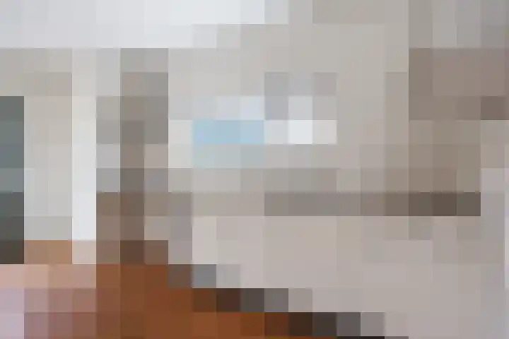 George Wilhelmlaan 24 Leek thumbnail 16