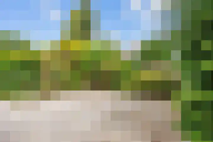 George Wilhelmlaan 24 Leek thumbnail 39