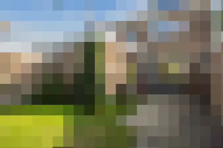 George Wilhelmlaan 63 Leek thumbnail 39