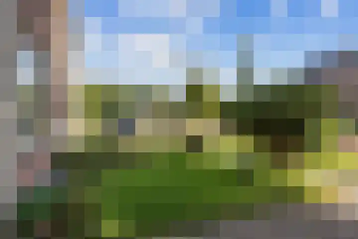 George Wilhelmlaan 63 Leek thumbnail 4