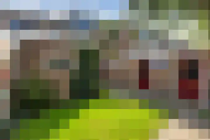 George Wilhelmlaan 63 Leek thumbnail 42