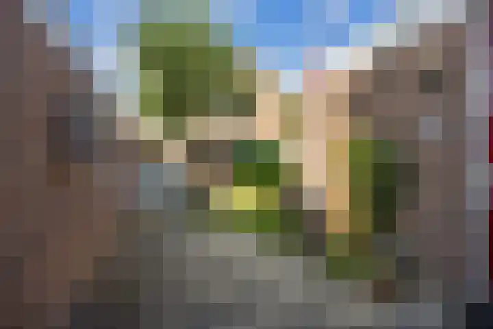 George Wilhelmlaan 63 Leek thumbnail 43