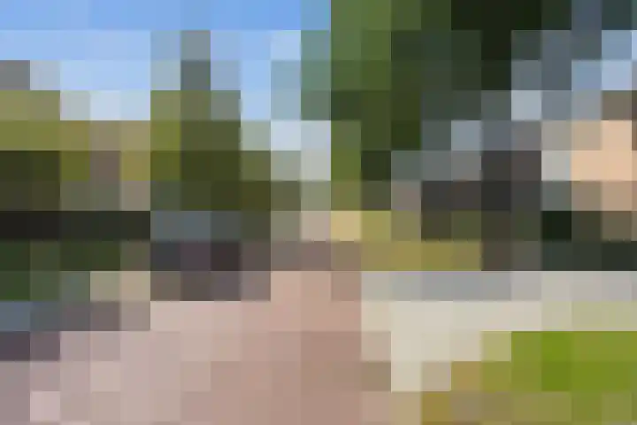 George Wilhelmlaan 63 Leek thumbnail 5