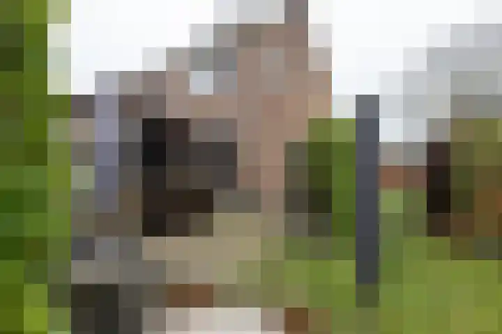 George Wilhelmlaan 83 Leek thumbnail 18