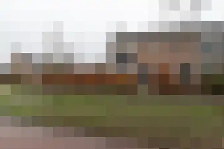 George Wilhelmlaan 83 Leek thumbnail 43