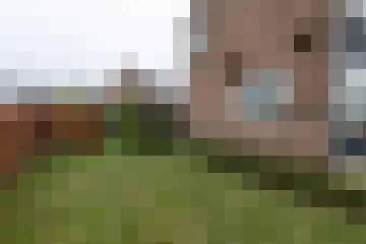 George Wilhelmlaan 83 Leek thumbnail 6