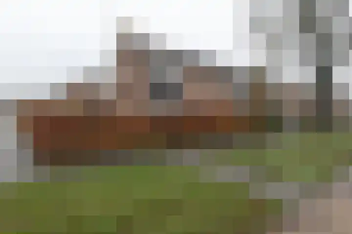George Wilhelmlaan 83 Leek thumbnail 8
