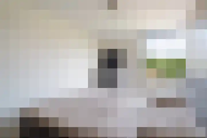 Georges Bizetstraat 39 Den Haag thumbnail 33
