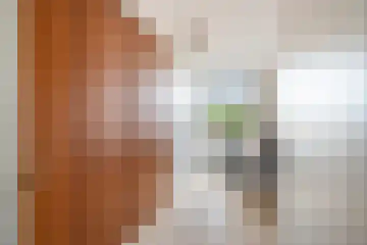 Georges Bizetstraat 39 Den Haag thumbnail 36
