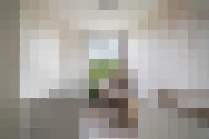 Georges Bizetstraat 39 Den Haag thumbnail 39