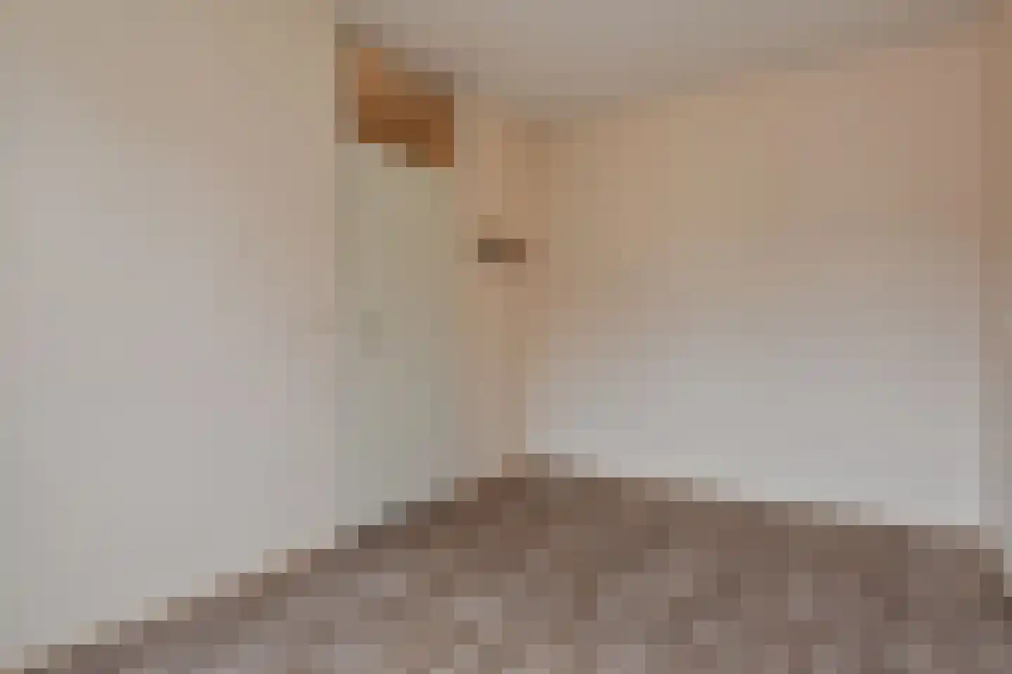 Georges Bizetstraat 49 Den Haag thumbnail 14