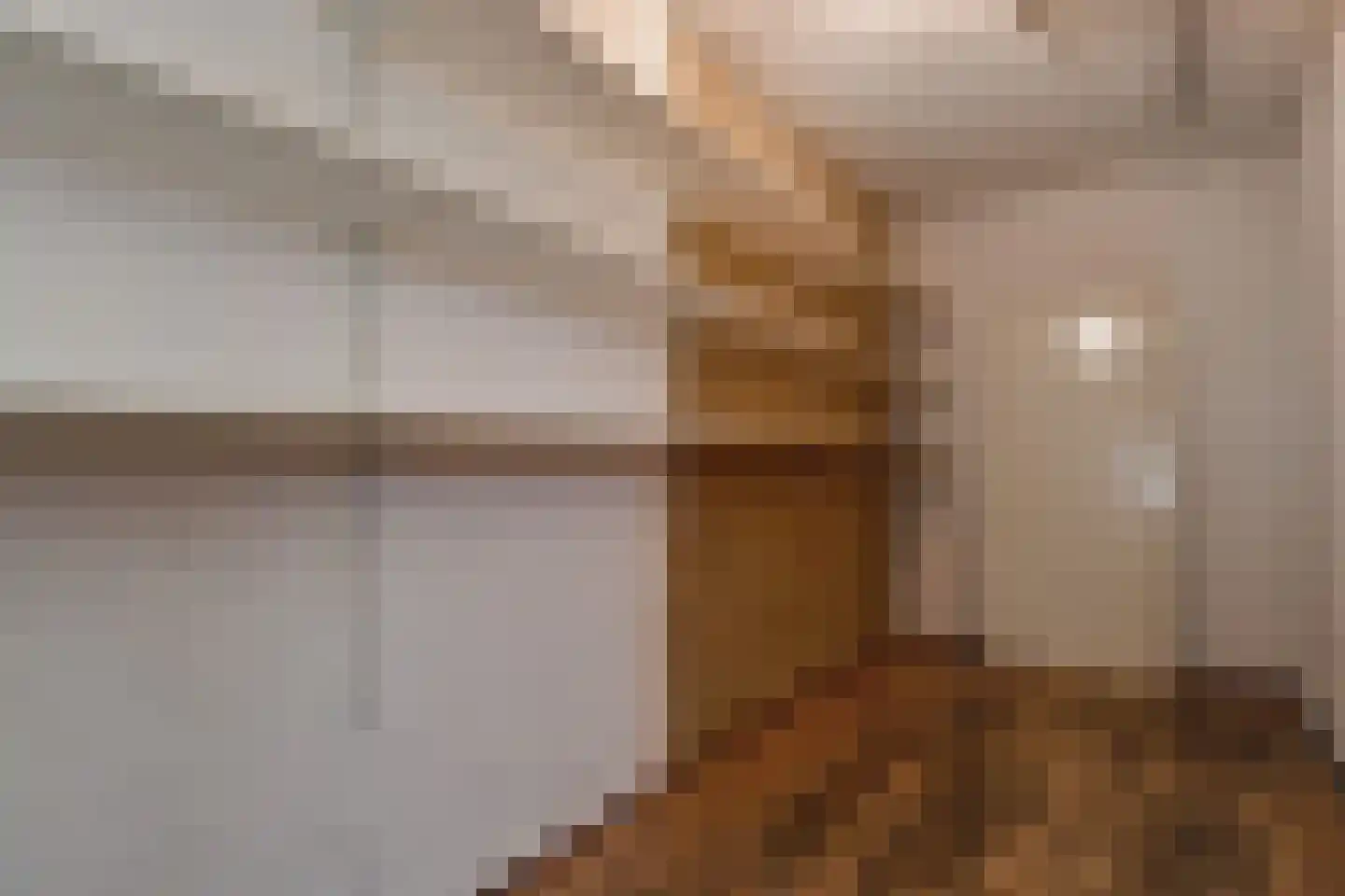 Georges Bizetstraat 49 Den Haag thumbnail 16