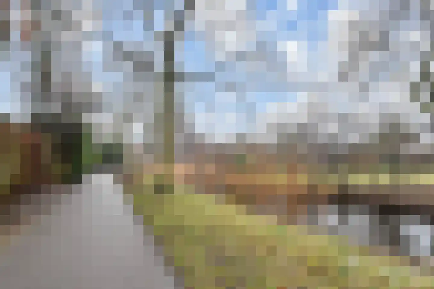 Georges Bizetstraat 49 Den Haag thumbnail 29