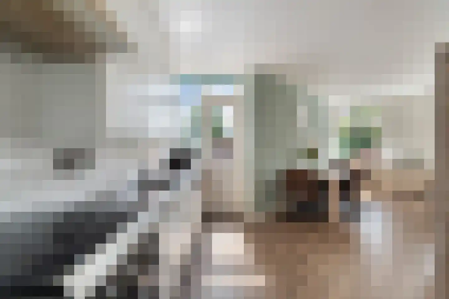 Georges Bizetstraat 63 Den Haag thumbnail 13