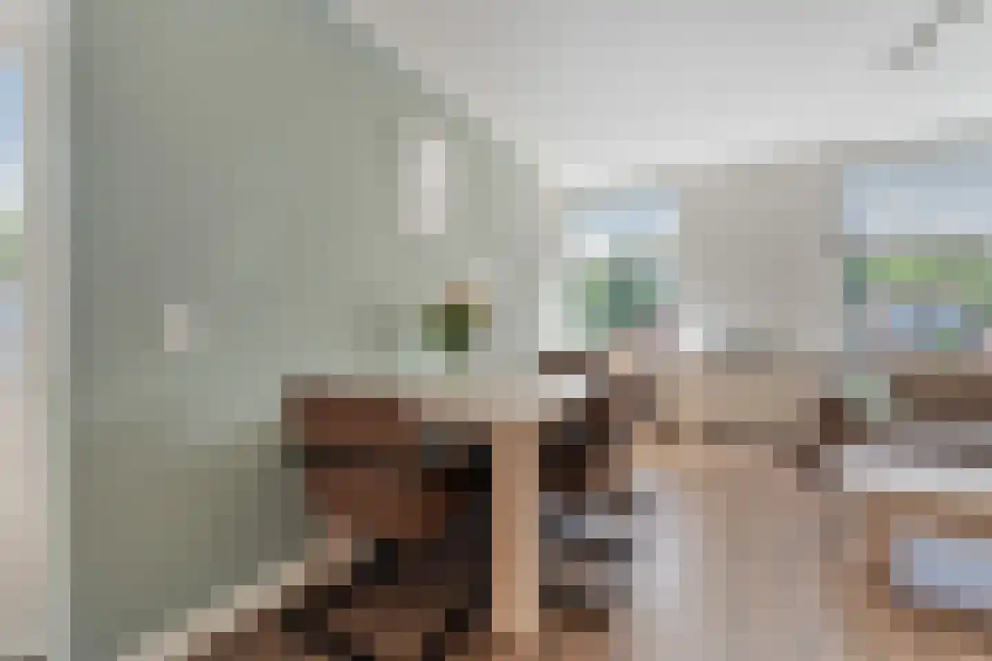 Georges Bizetstraat 63 Den Haag thumbnail 17