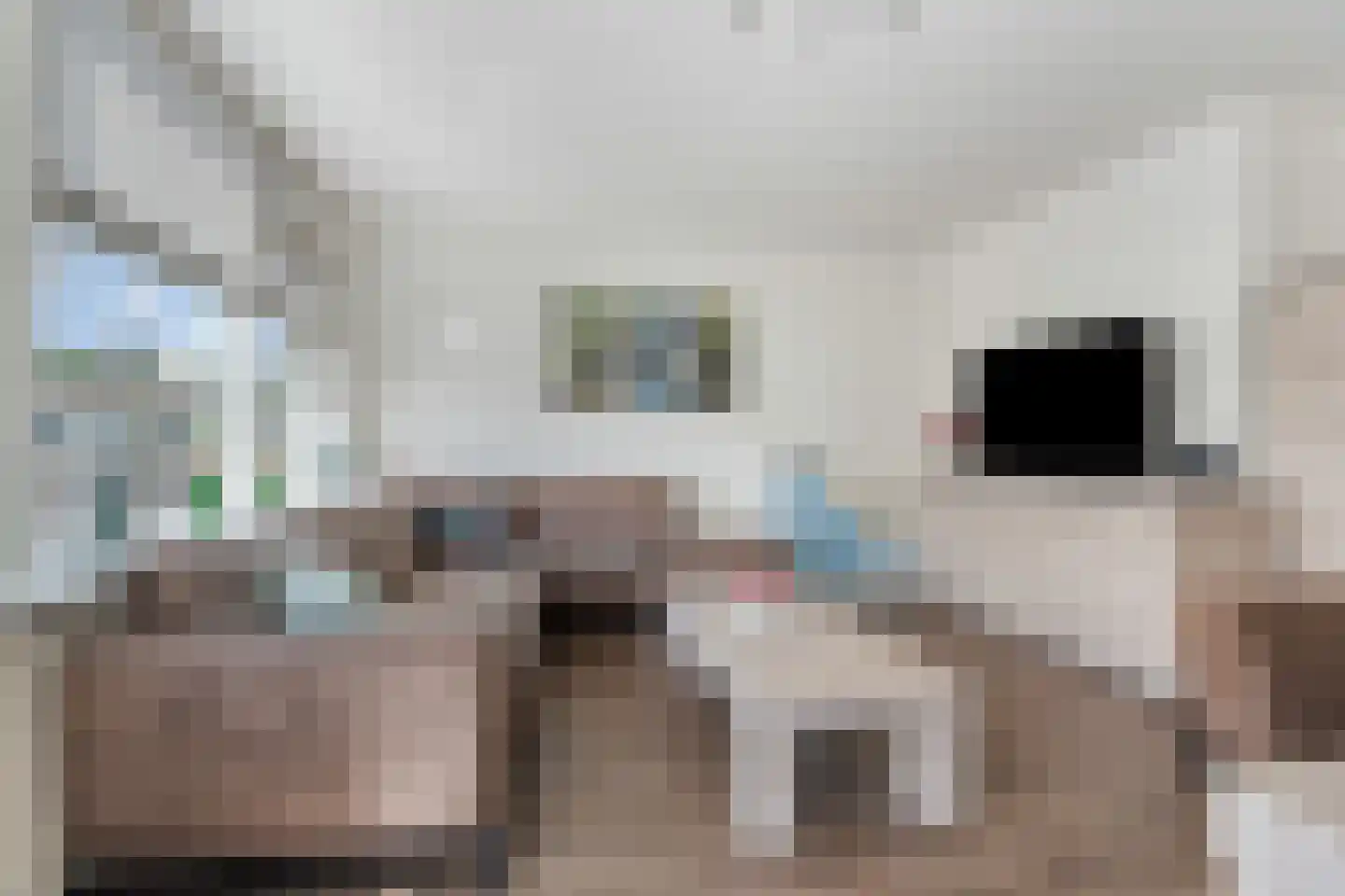 Georges Bizetstraat 63 Den Haag thumbnail 18