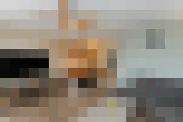 Georges Bizetstraat 69 Den Haag thumbnail 12