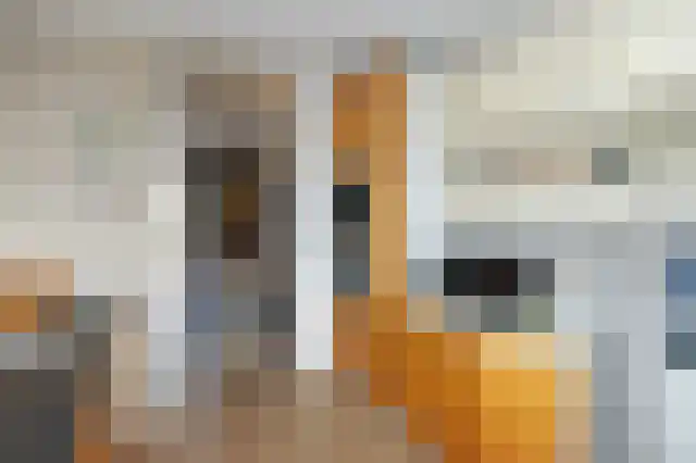 Georges Bizetstraat 69 Den Haag thumbnail 13