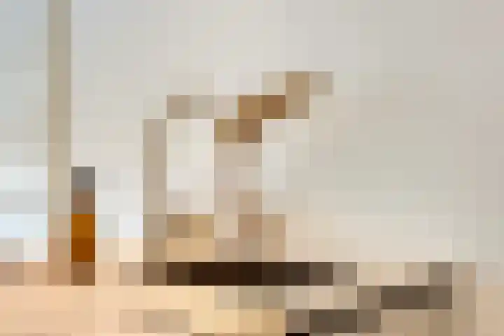 Georges Bizetstraat 71 Den Haag thumbnail 18