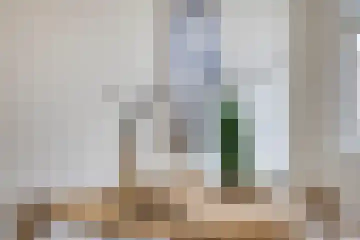 Georges Bizetstraat 71 Den Haag thumbnail 22