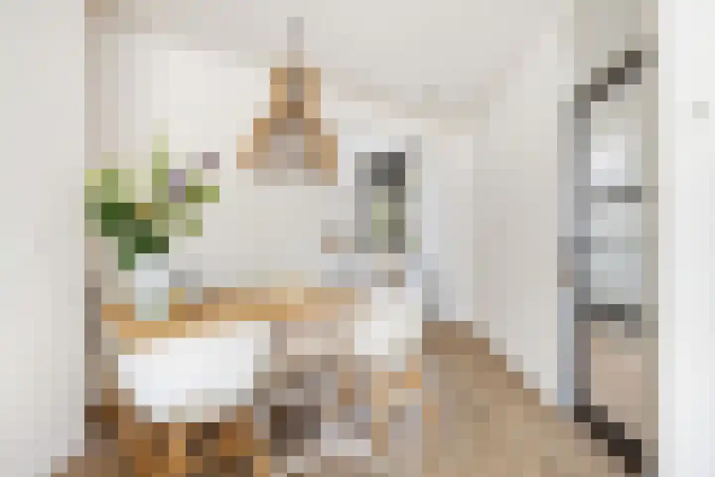 Georges Bizetstraat 79 Den Haag thumbnail 13