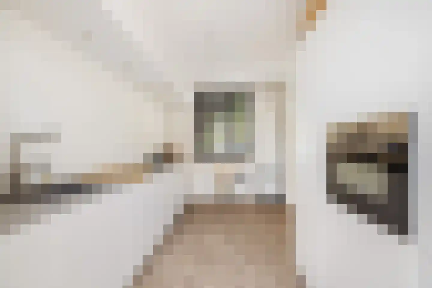 Georges Bizetstraat 79 Den Haag thumbnail 19