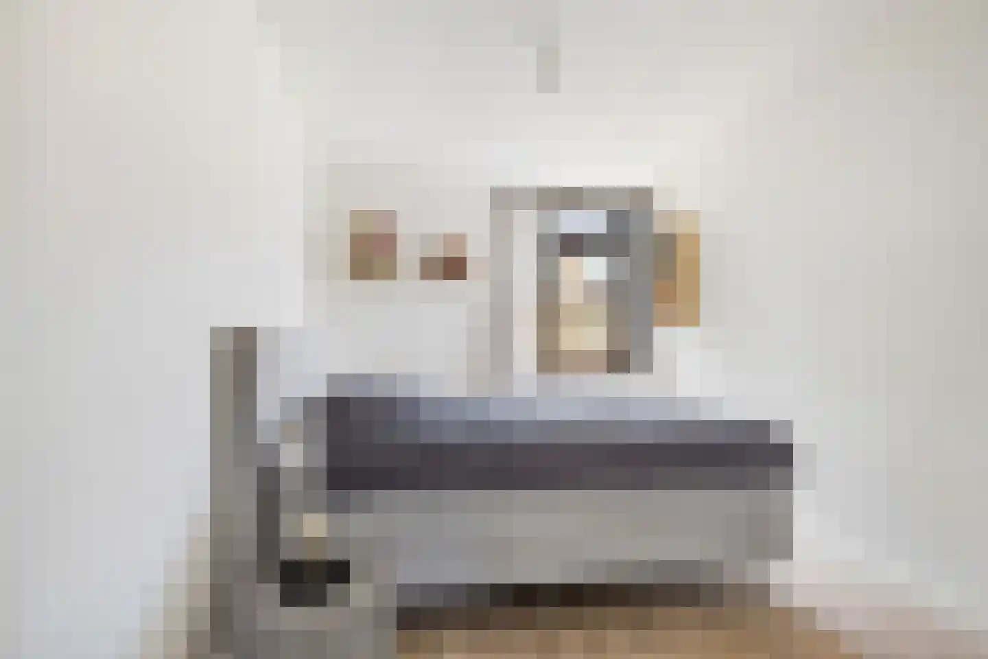 Georges Bizetstraat 79 Den Haag thumbnail 20