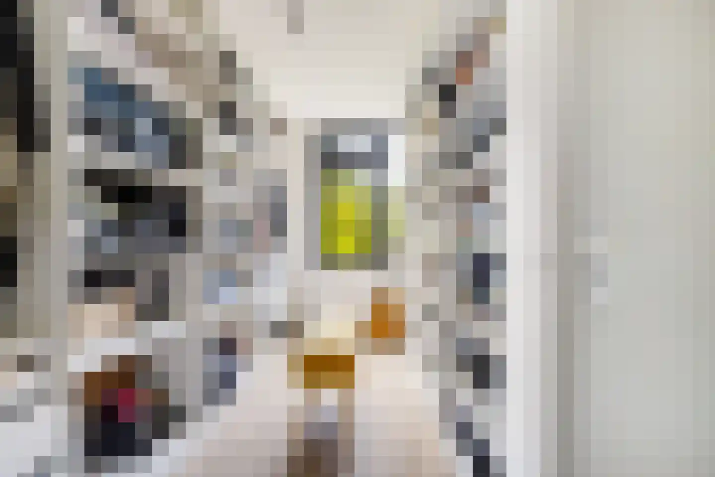 Georges Bizetstraat 79 Den Haag thumbnail 22