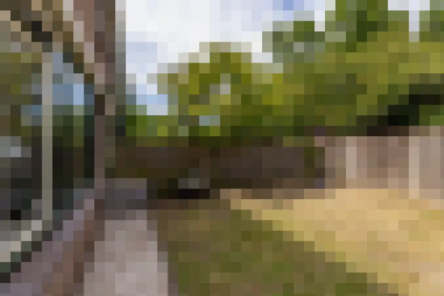 Georges Bizetstraat 79 Den Haag thumbnail 43