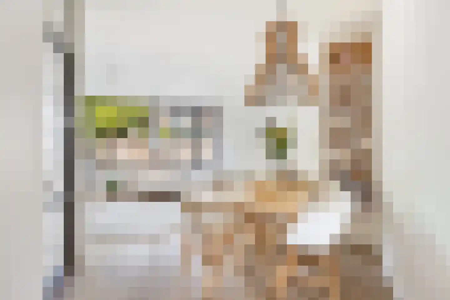 Georges Bizetstraat 79 Den Haag thumbnail 8
