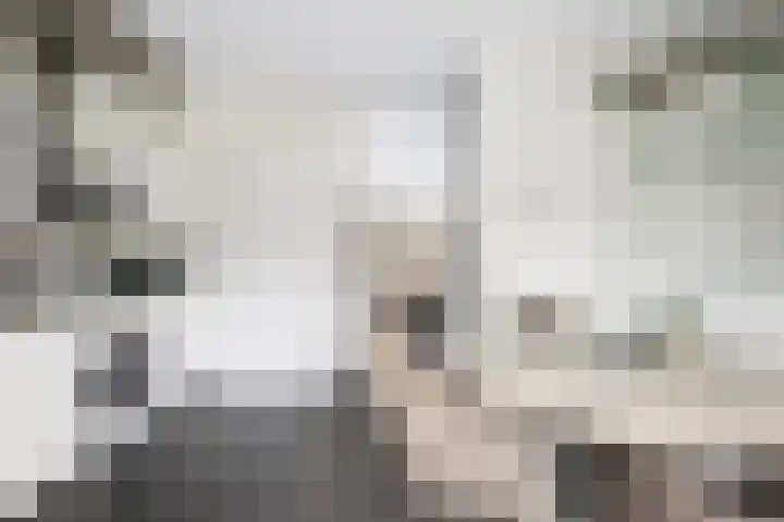 Georges Vantongerloohof 5 Rotterdam thumbnail 11