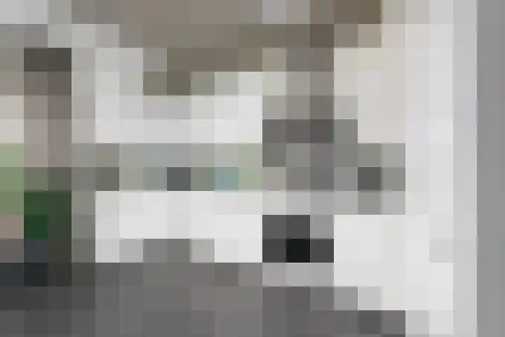 Georges Vantongerloohof 5 Rotterdam thumbnail 14