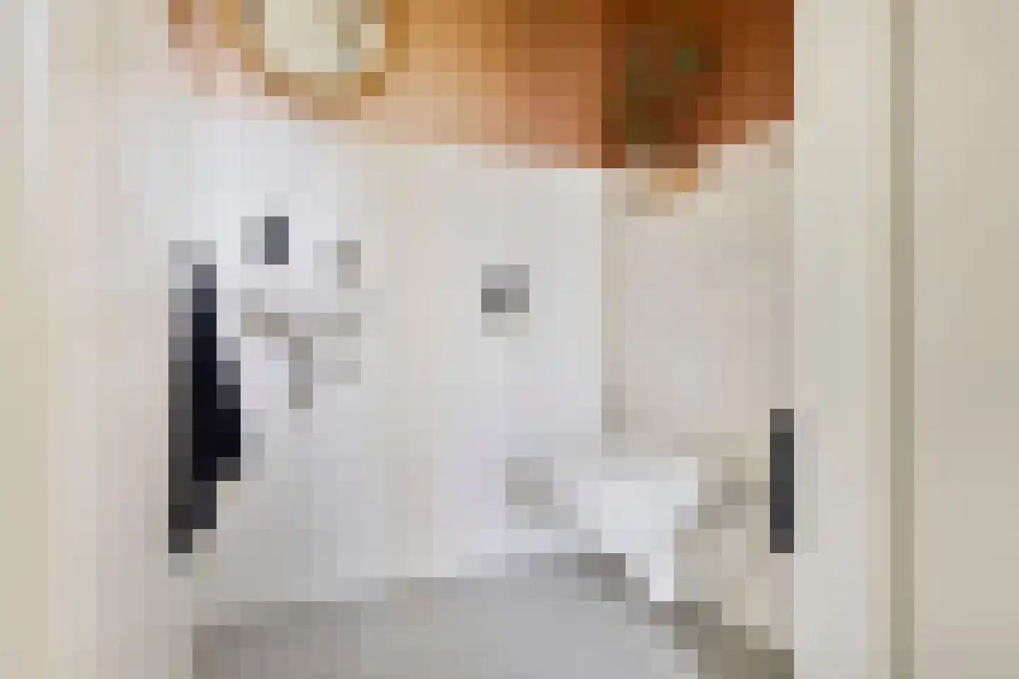 Gepkespad 13 Herpen thumbnail 13