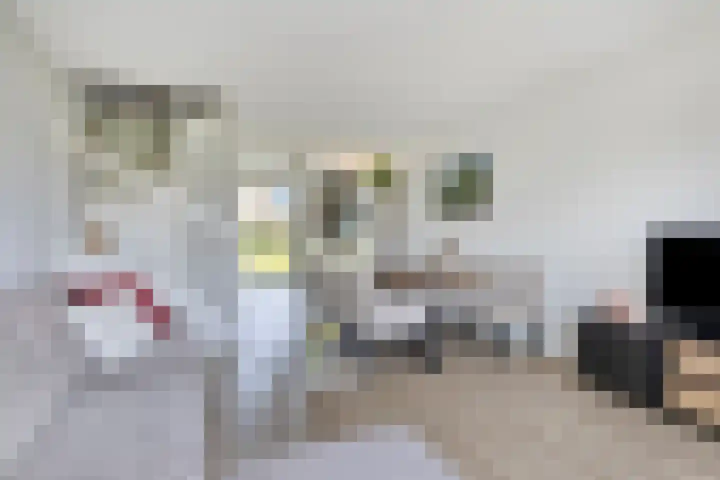 Gepkespad 13 Herpen thumbnail 18