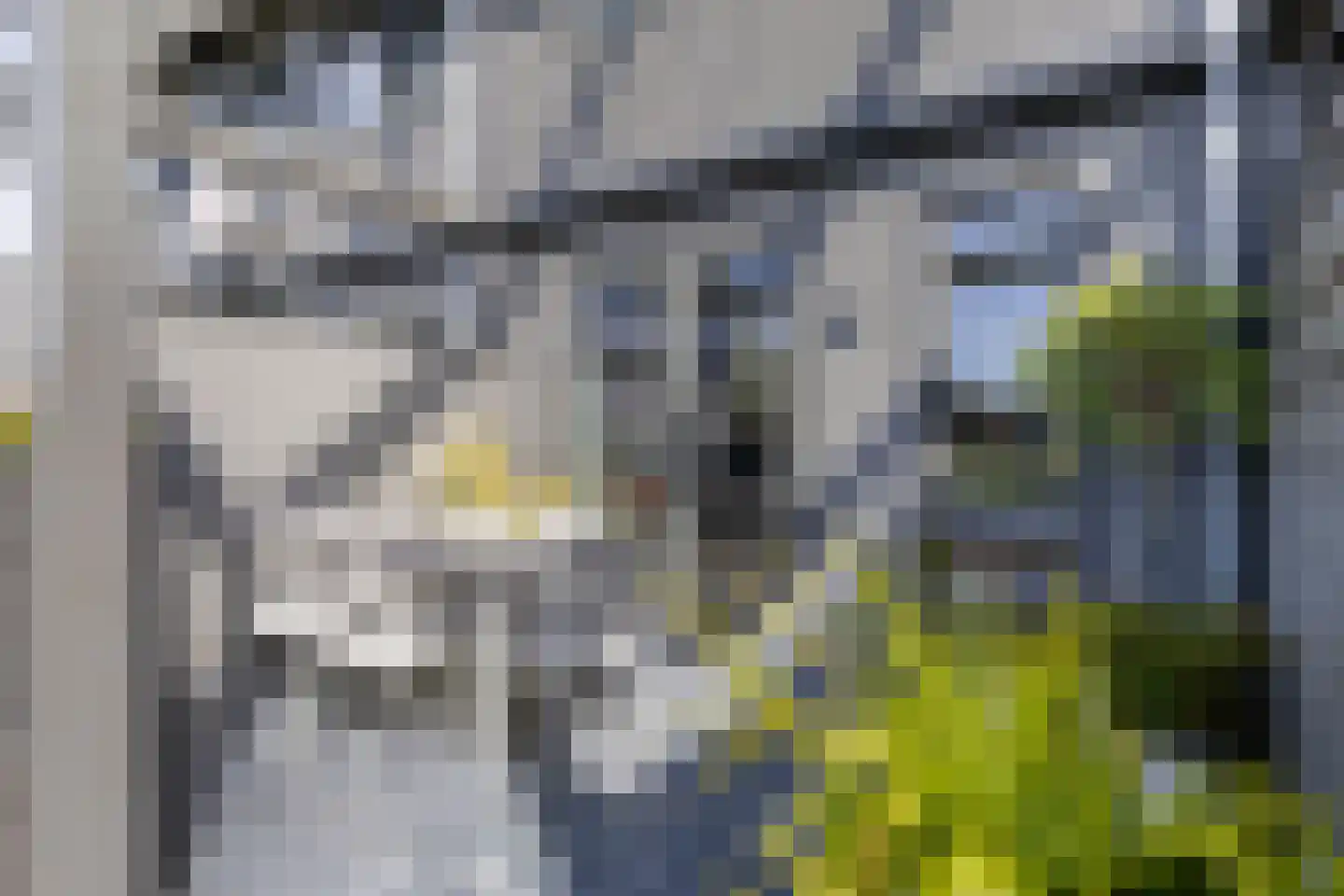 Gepkespad 13 Herpen thumbnail 22