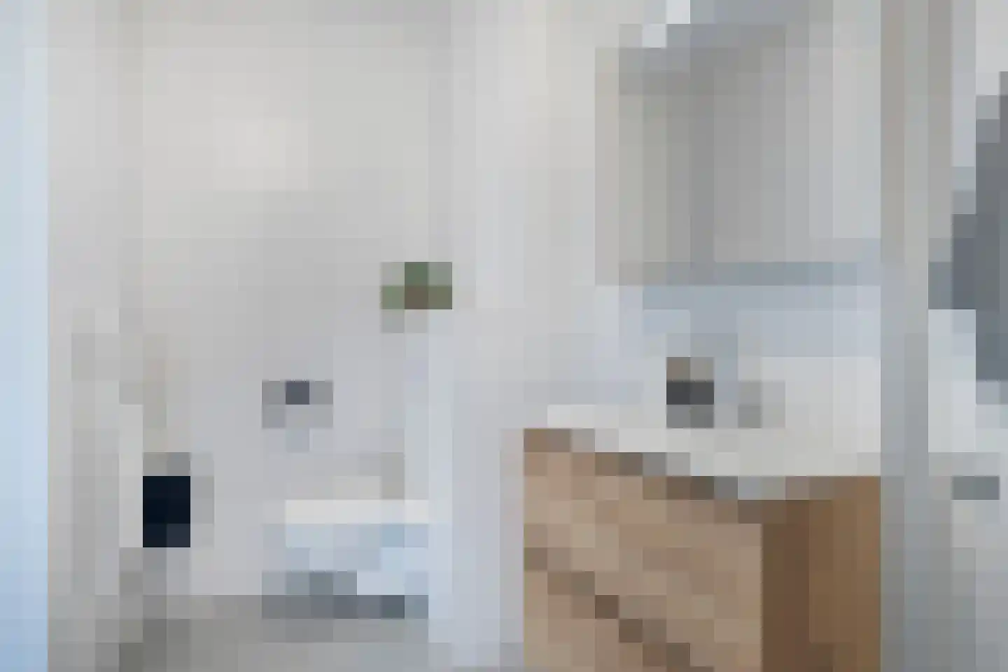 Gepkespad 13 Herpen thumbnail 31
