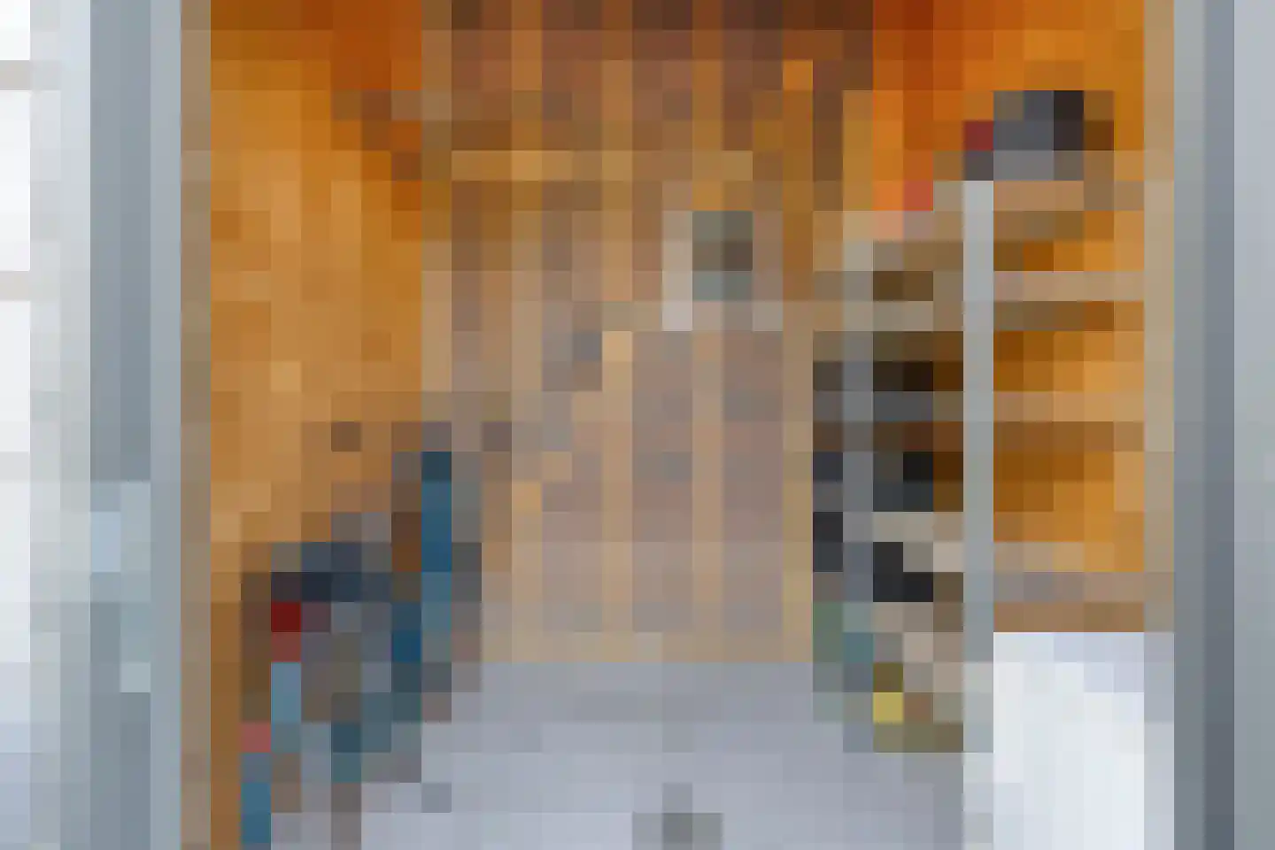 Gepkespad 13 Herpen thumbnail 38