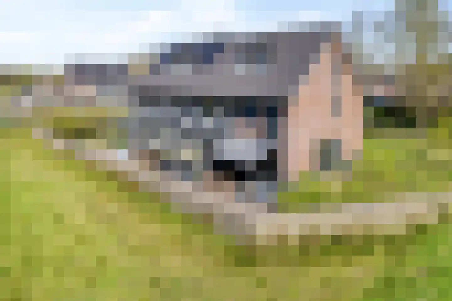 Gepkespad 13 Herpen thumbnail 39