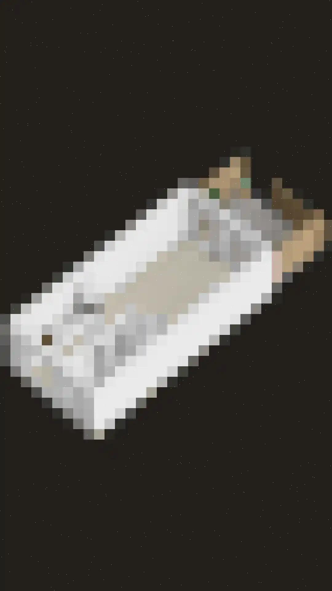 Gepkespad 13 Herpen thumbnail 45