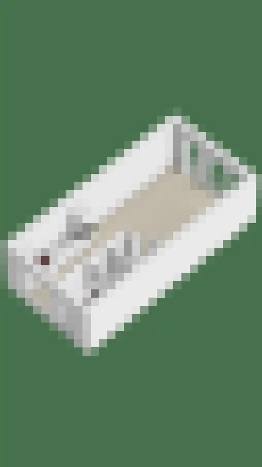 Gepkespad 13 Herpen thumbnail 47