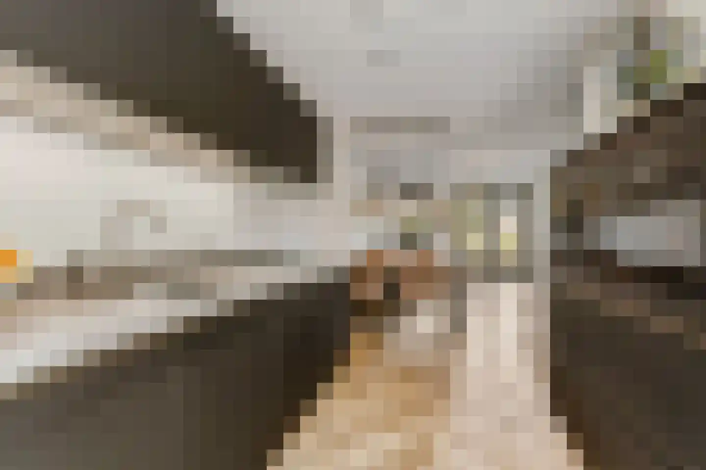 Gepkespad 17 Herpen thumbnail 12