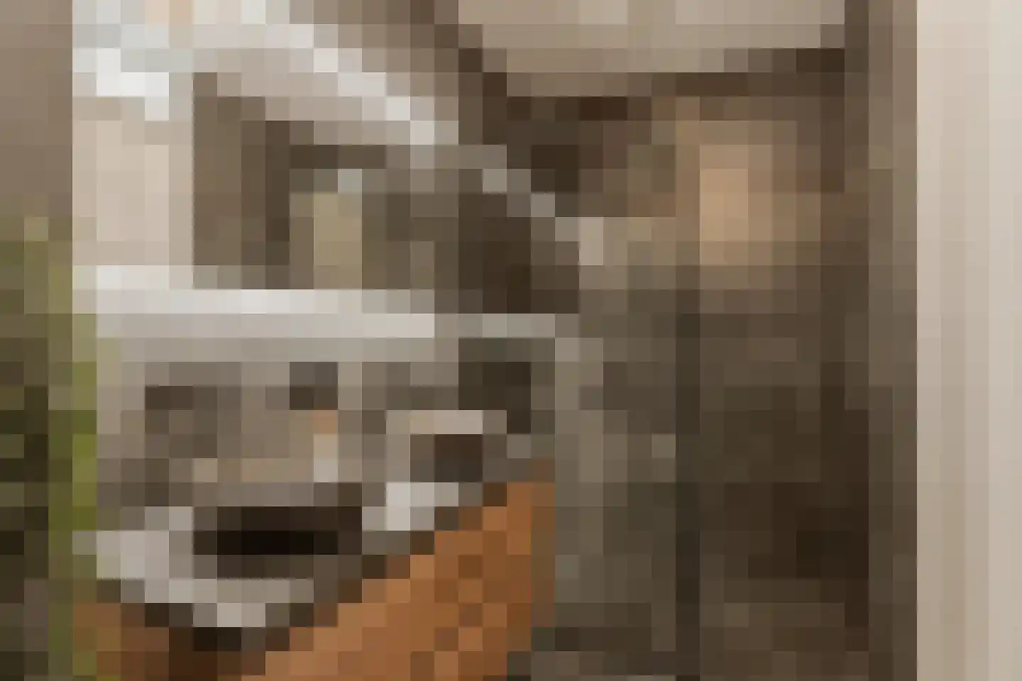 Gepkespad 17 Herpen thumbnail 25