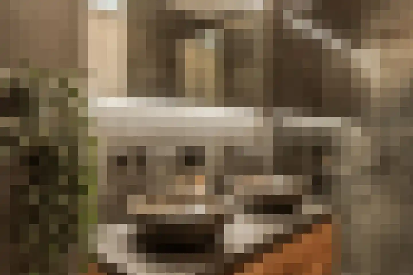 Gepkespad 17 Herpen thumbnail 26