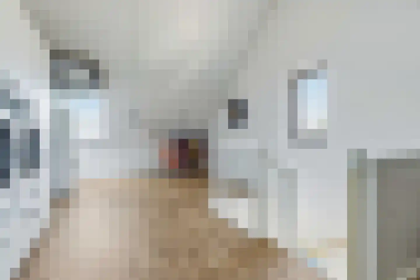 Gepkespad 17 Herpen thumbnail 33